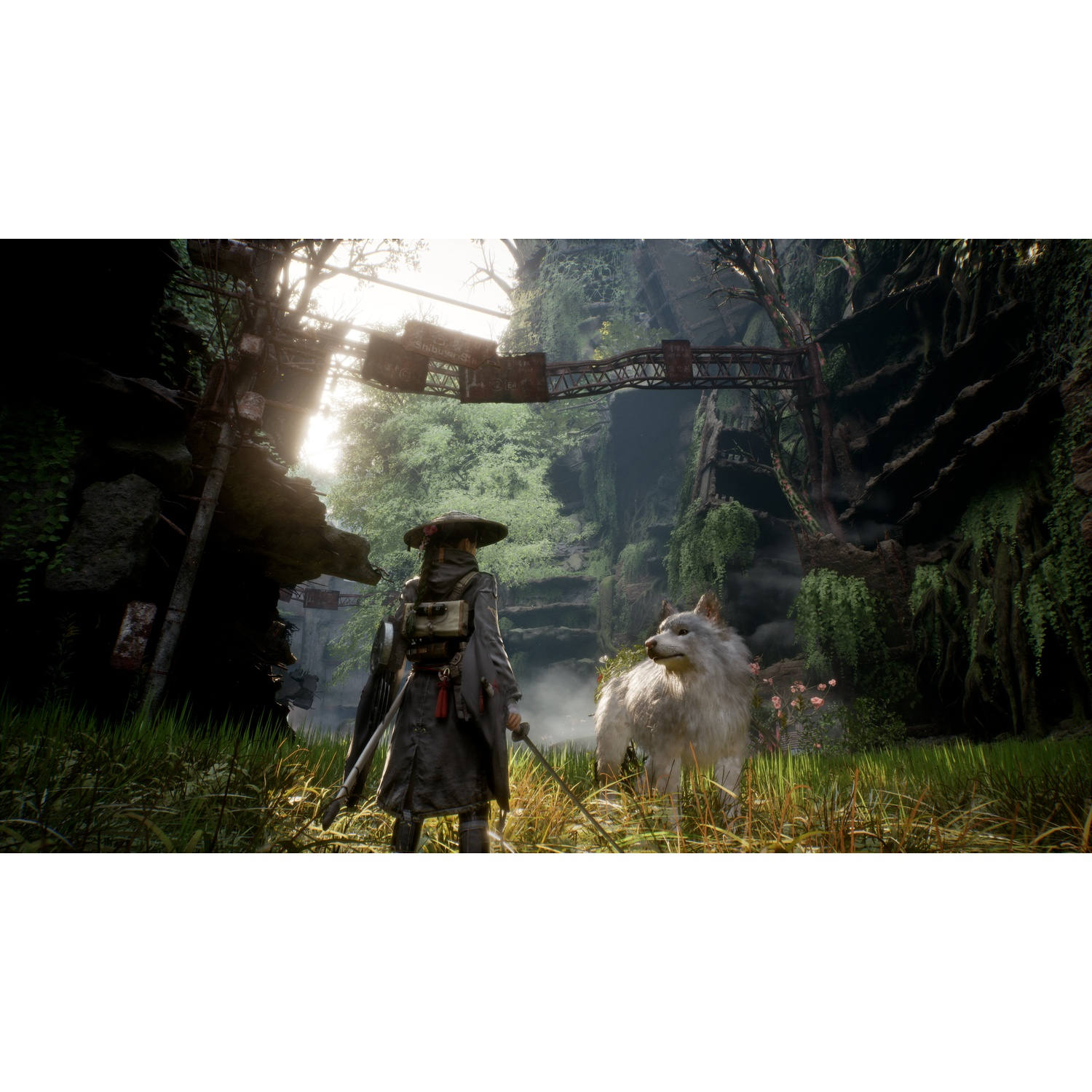 Une personne avec un chapeau et un loup blanc dans un paysage luxuriant et en ruine.