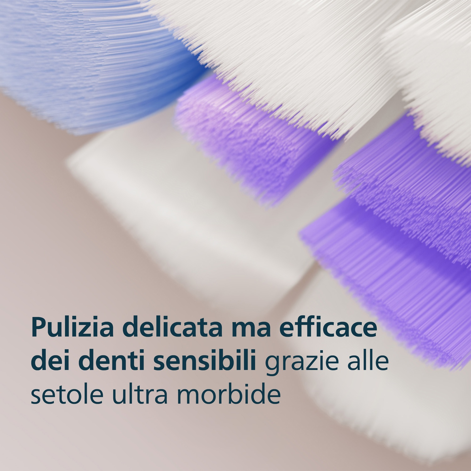 Primo piano di setole di spazzolino da denti blu, viola e bianche.
