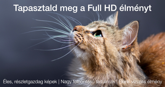 Közeli kép egy macskáról, részletes bajusszal és zöld szemekkel, sötét háttér.