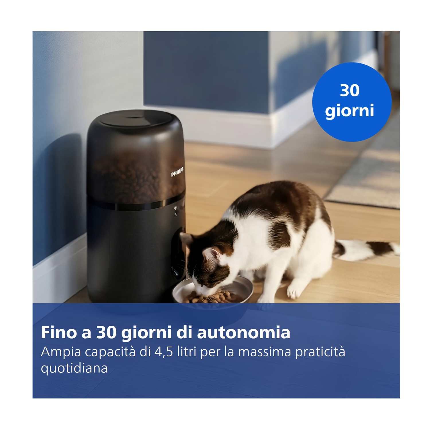 Un gatto mangia da una ciotola accanto a un dispenser nero con indicatore 30 giorni.