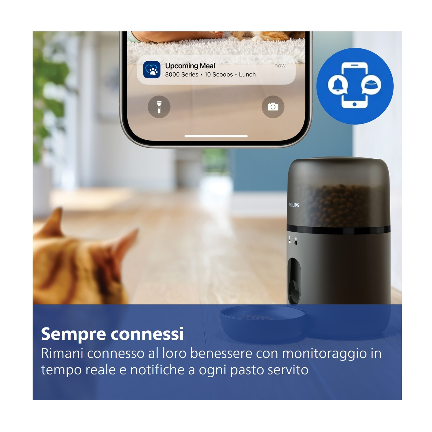 Un distributore di cibo per animali e uno smartphone mostrano una notifica.