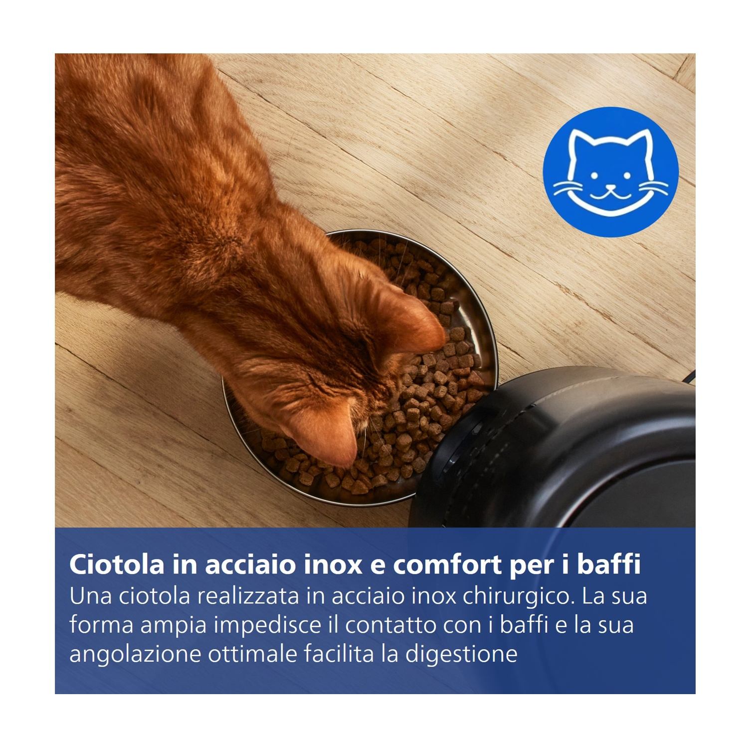 Un gatto arancione mangia da una ciotola in acciaio inox su un pavimento di legno.