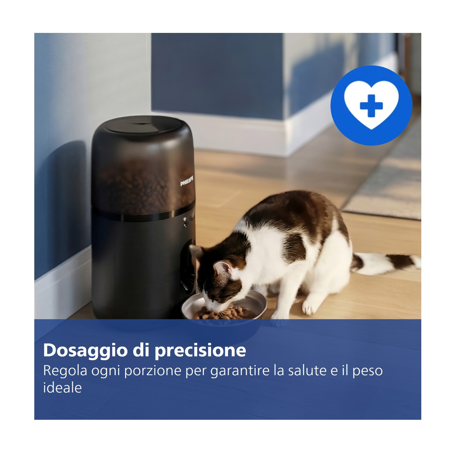 Un gatto mangia da una ciotola accanto a un distributore di cibo. Si vede un cuore con croce.