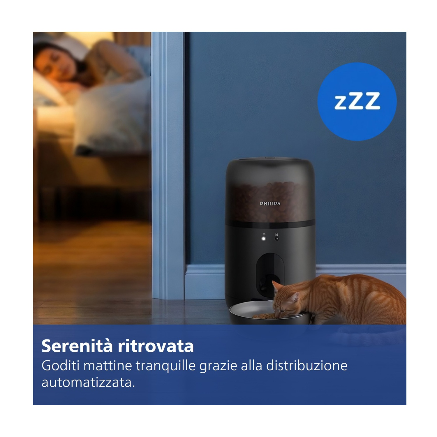 Un gatto arancione mangia da una ciotola davanti a un distributore automatico.