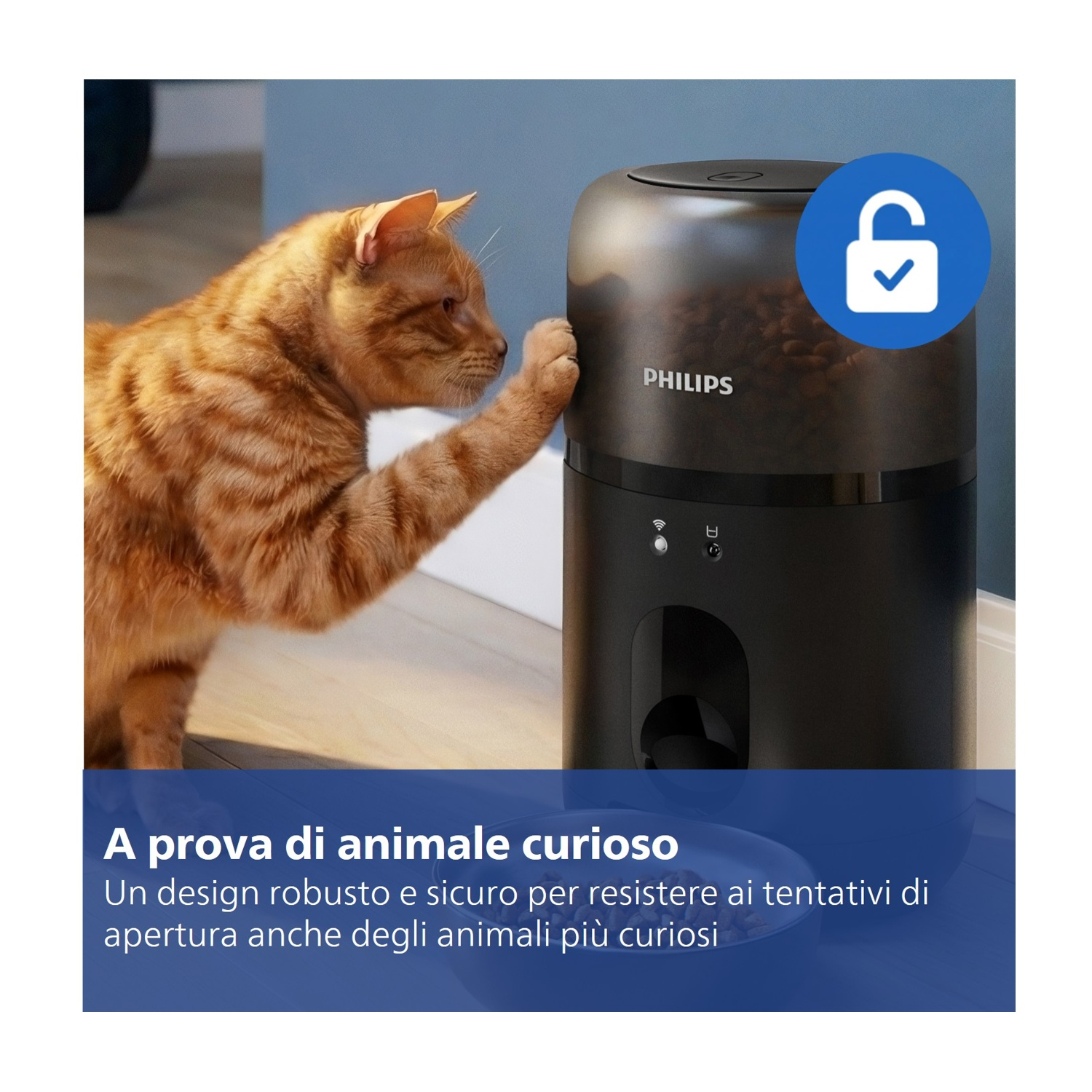 Un gatto arancione tenta di aprire un distributore di cibo per animali.