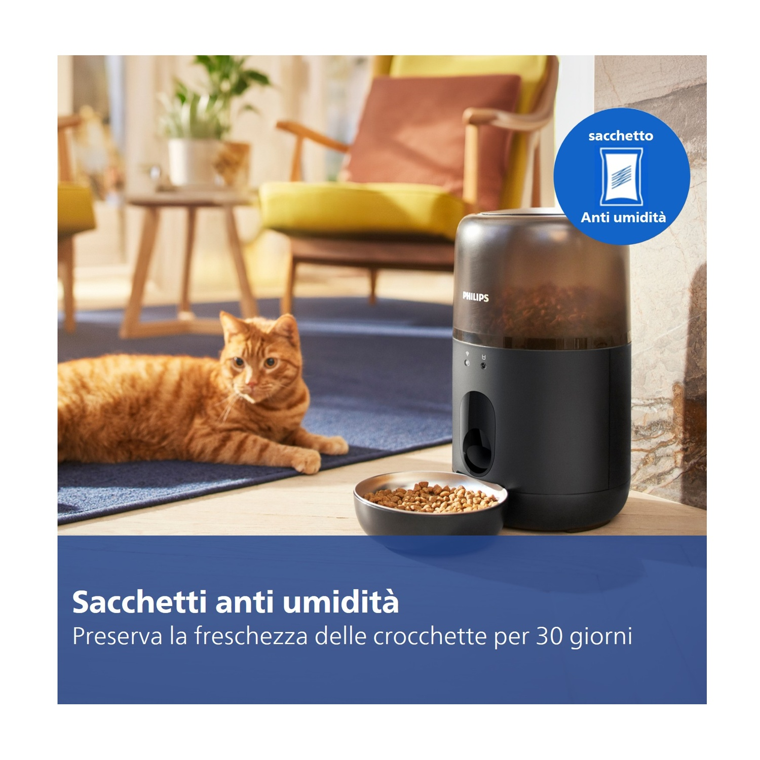 Un gatto arancione è sdraiato vicino a un distributore di cibo automatico.