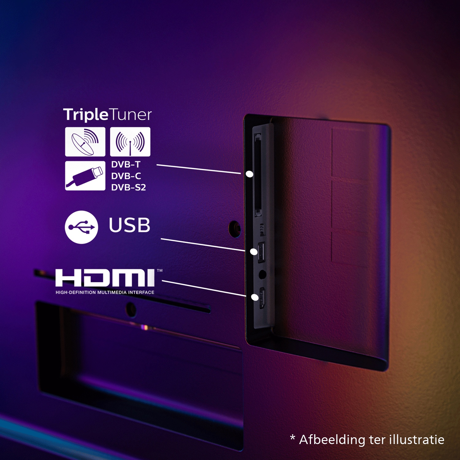 Arrière du téléviseur montrant les connexions: Triple Tuner, USB, HDMI.