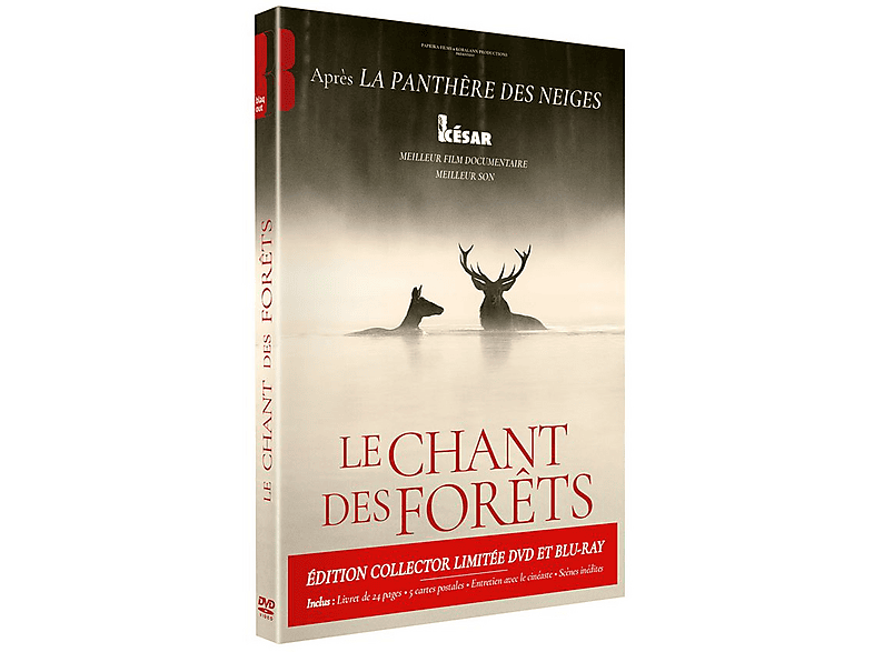 Blaq Out Le Chant Des Forêts Combo - Dvd