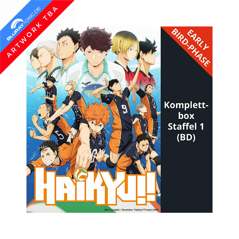 Anime-Poster mit Volleyballspielern, "Haikyu!!" Staffel 1 Komplettbox.
