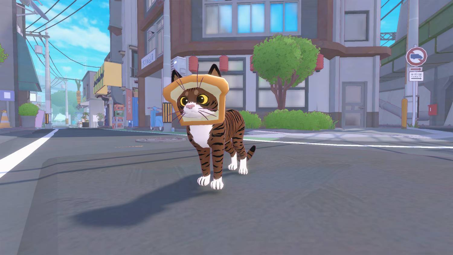Un gato atigrado con sombrero de pan tostado está en una calle.