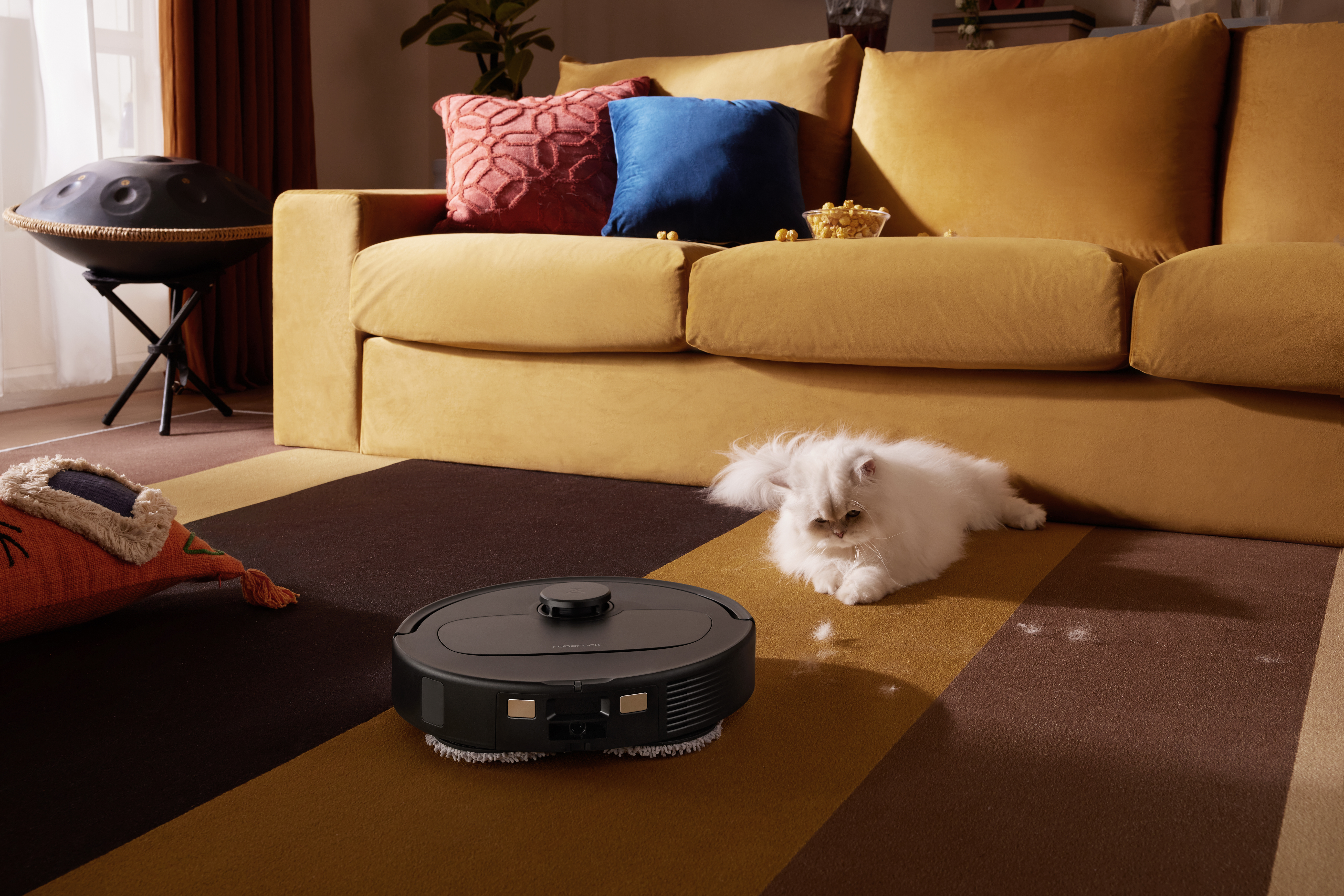Un robot aspirapolvere pulisce un tappeto accanto a un gatto bianco su un divano.