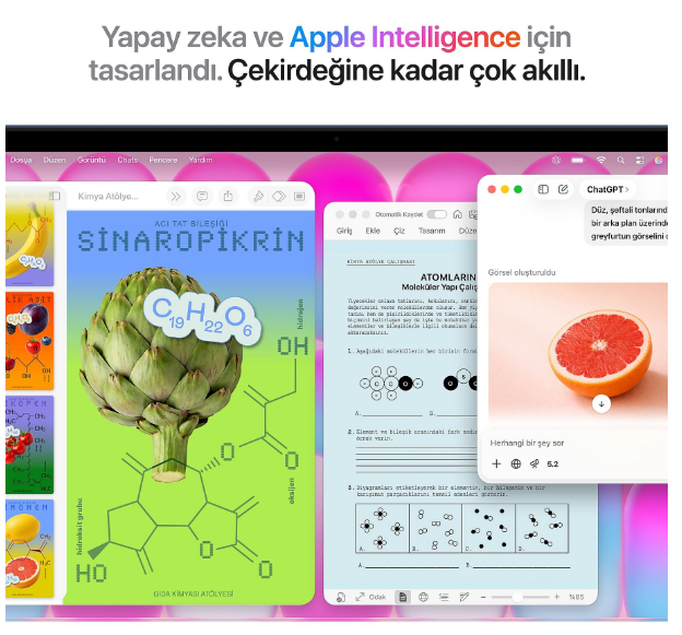 Bir ekran kimya bilgileri, bir greyfurt ve bir sohbet arayüzü içeren bir web sayfası gösteriyor.