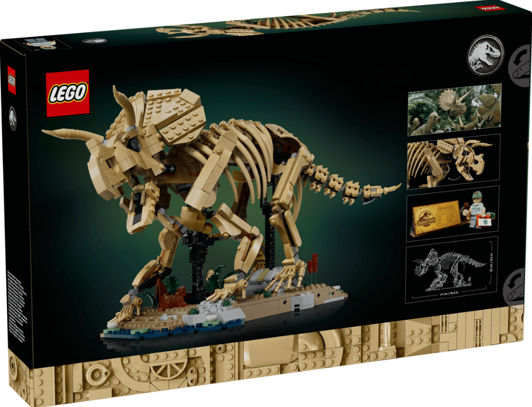 Ein Lego-Triceratops-Skelett-Modell in Beige auf einer Basis mit Pflanzen und Wasser.