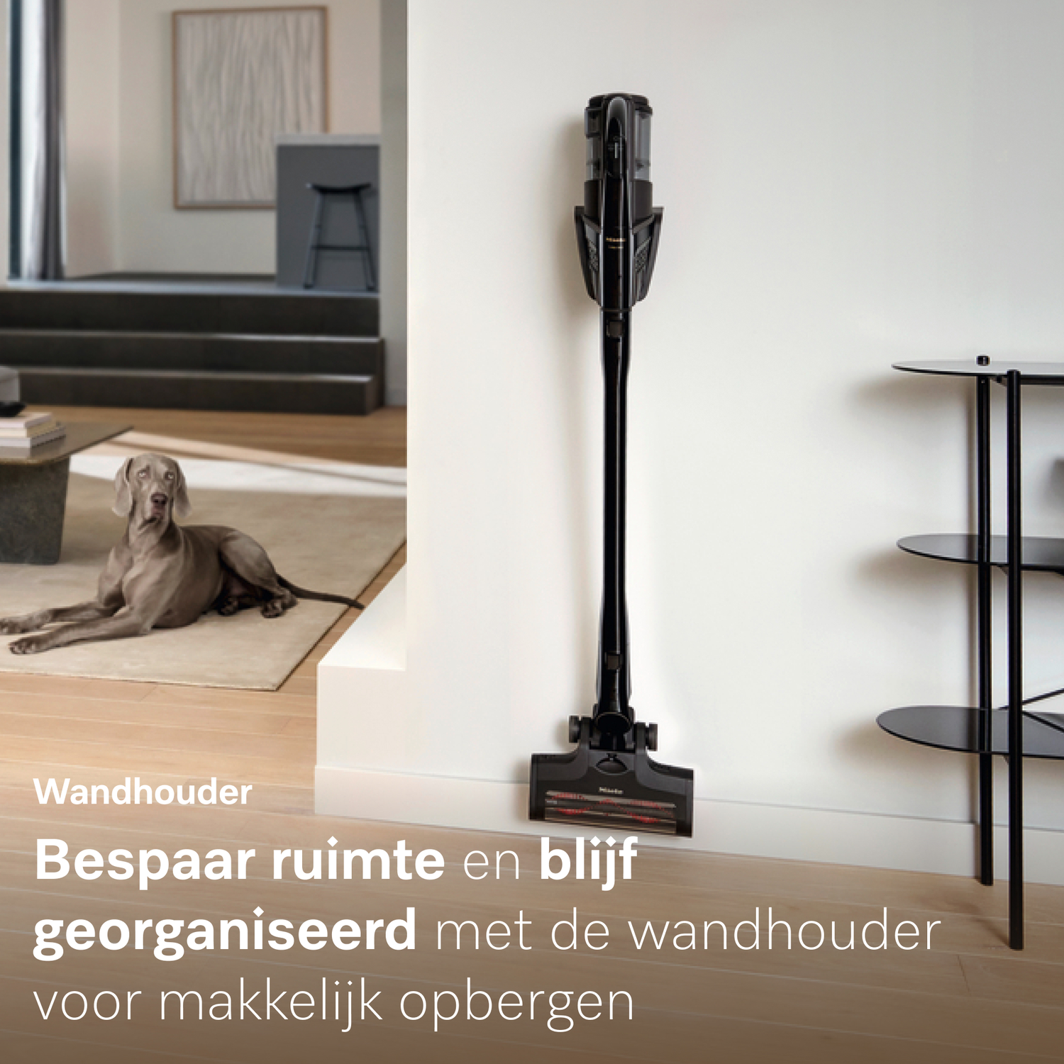 Een zwarte stofzuiger hangt aan een witte muur. Een hond ligt op een kleed.