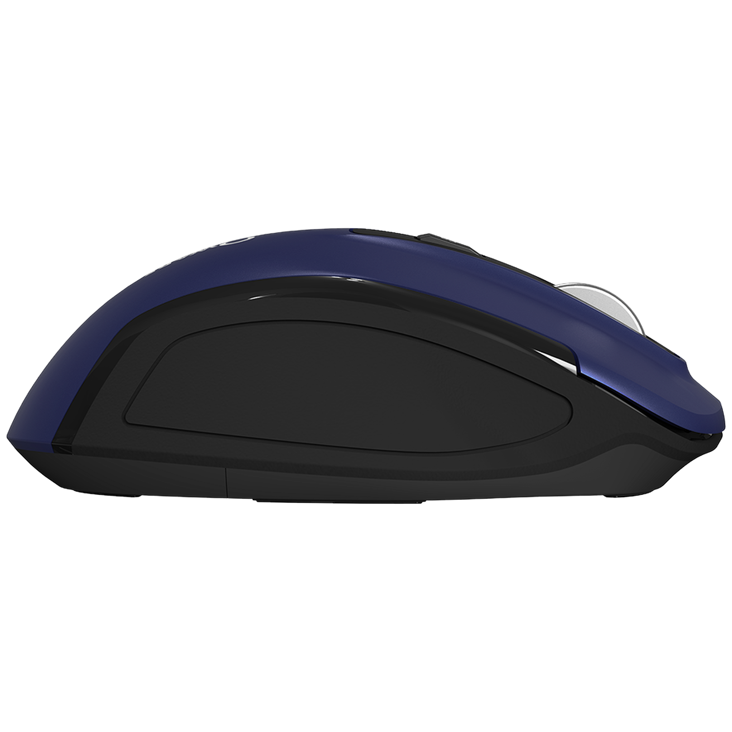 A blue and black computer mouse, viewed from the side.