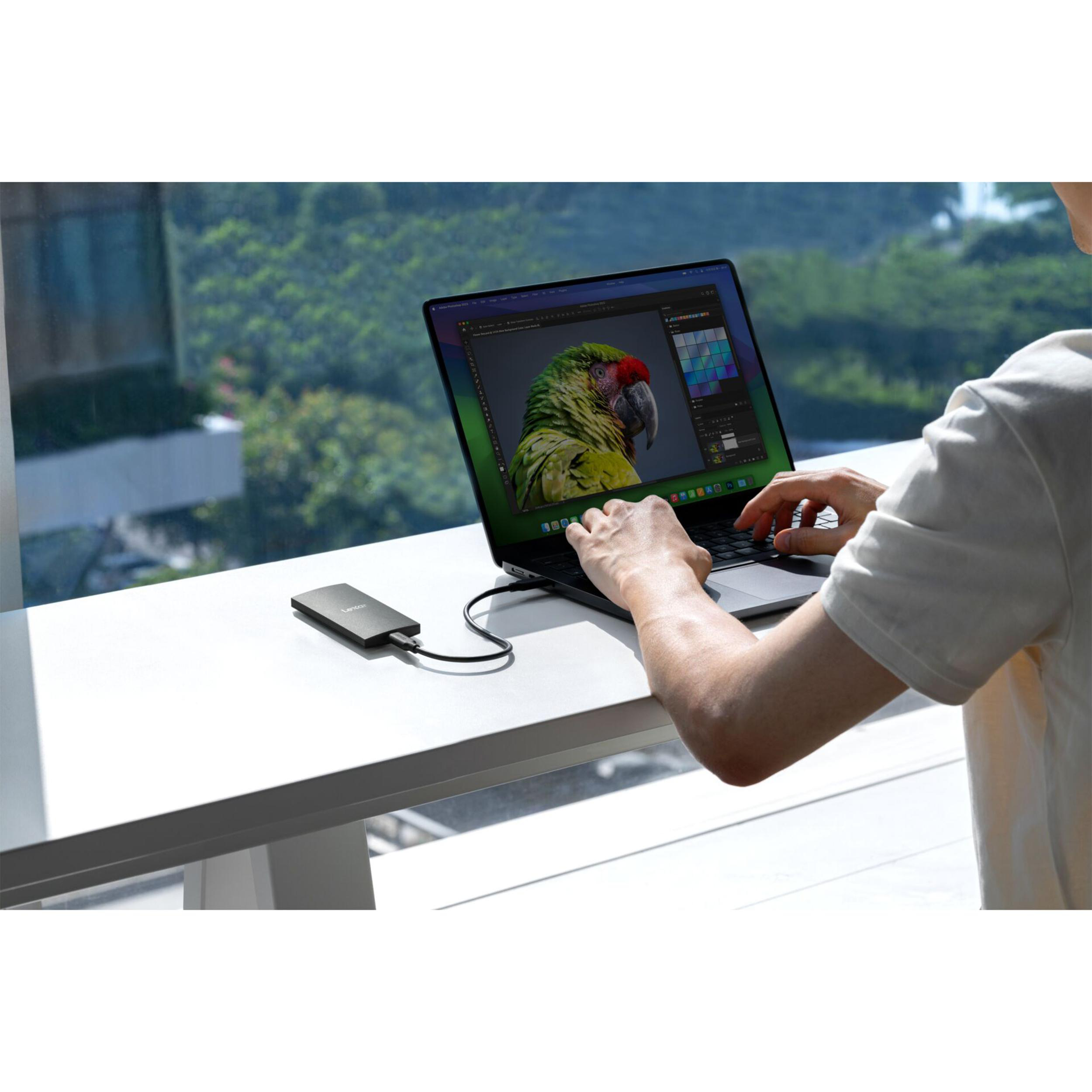 Person bearbeitet Bild eines Papageis auf einem Laptop, externer Speicher angeschlossen.