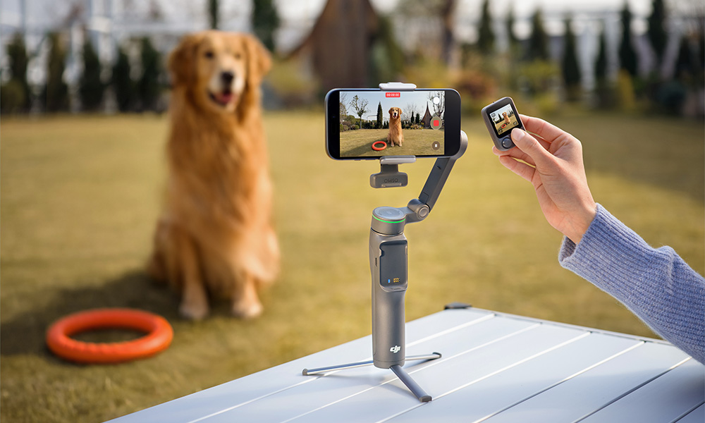 Golden Retriever siedzi w ogrodzie obok telefonu na gimbalu. W pobliżu znajduje się pierścień.
