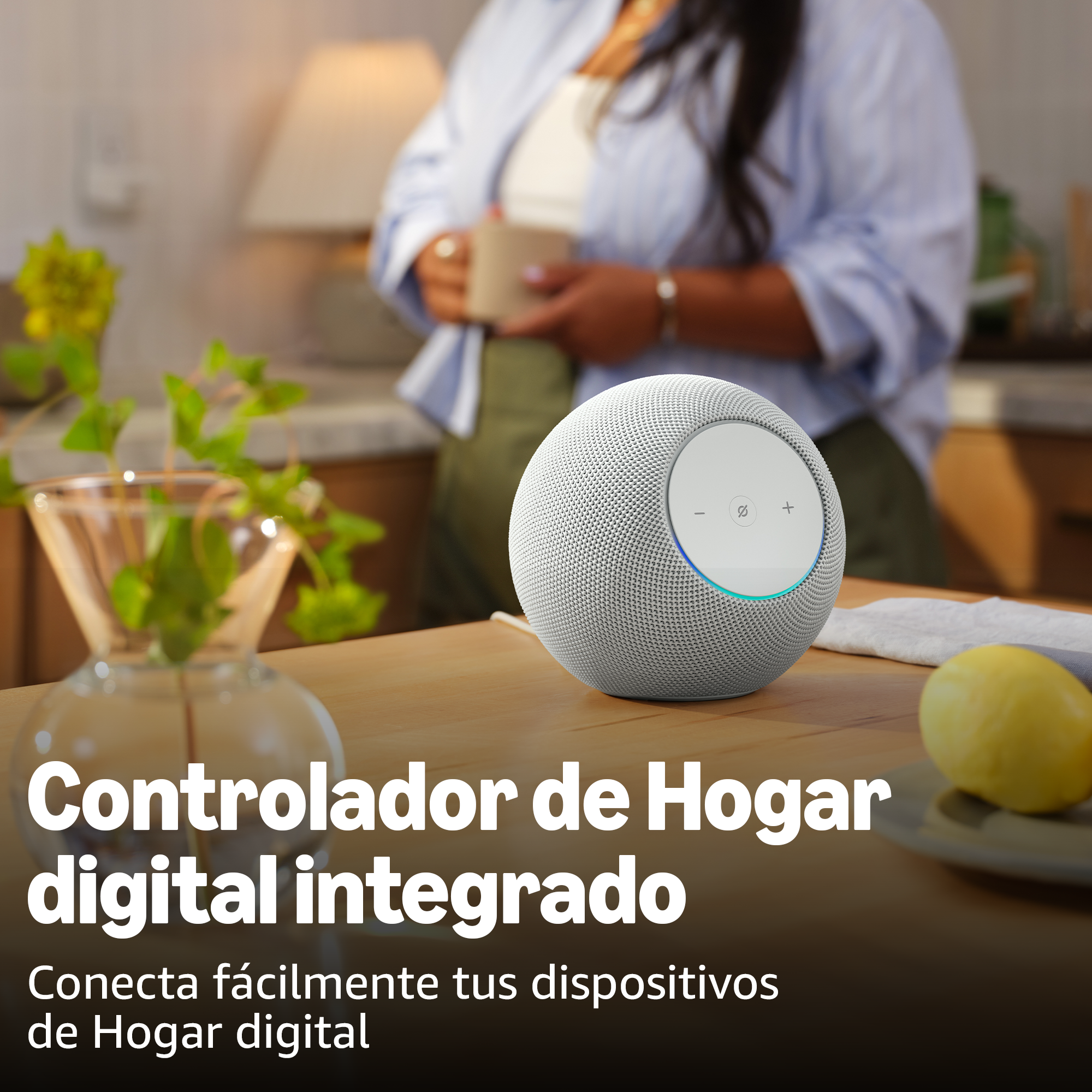 Controlador de hogar digital integrado. Conecta fácilmente tus dispositivos de hogar digital