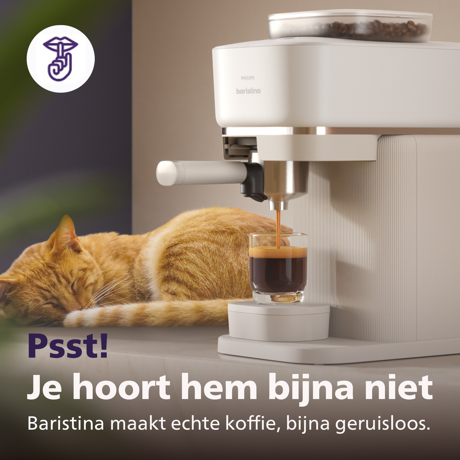 Un chat dort à côté d'une machine à café préparant un expresso.