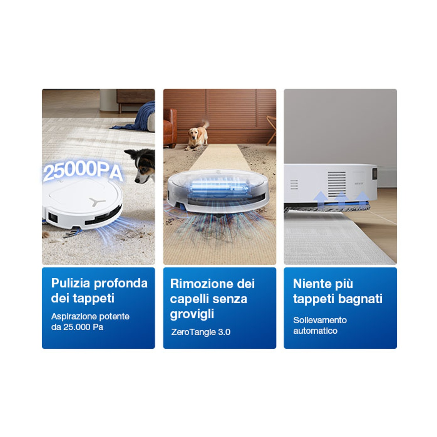 Robot aspirapolvere pulisce tappeti, rimuove peli ed evita tappeti bagnati.
