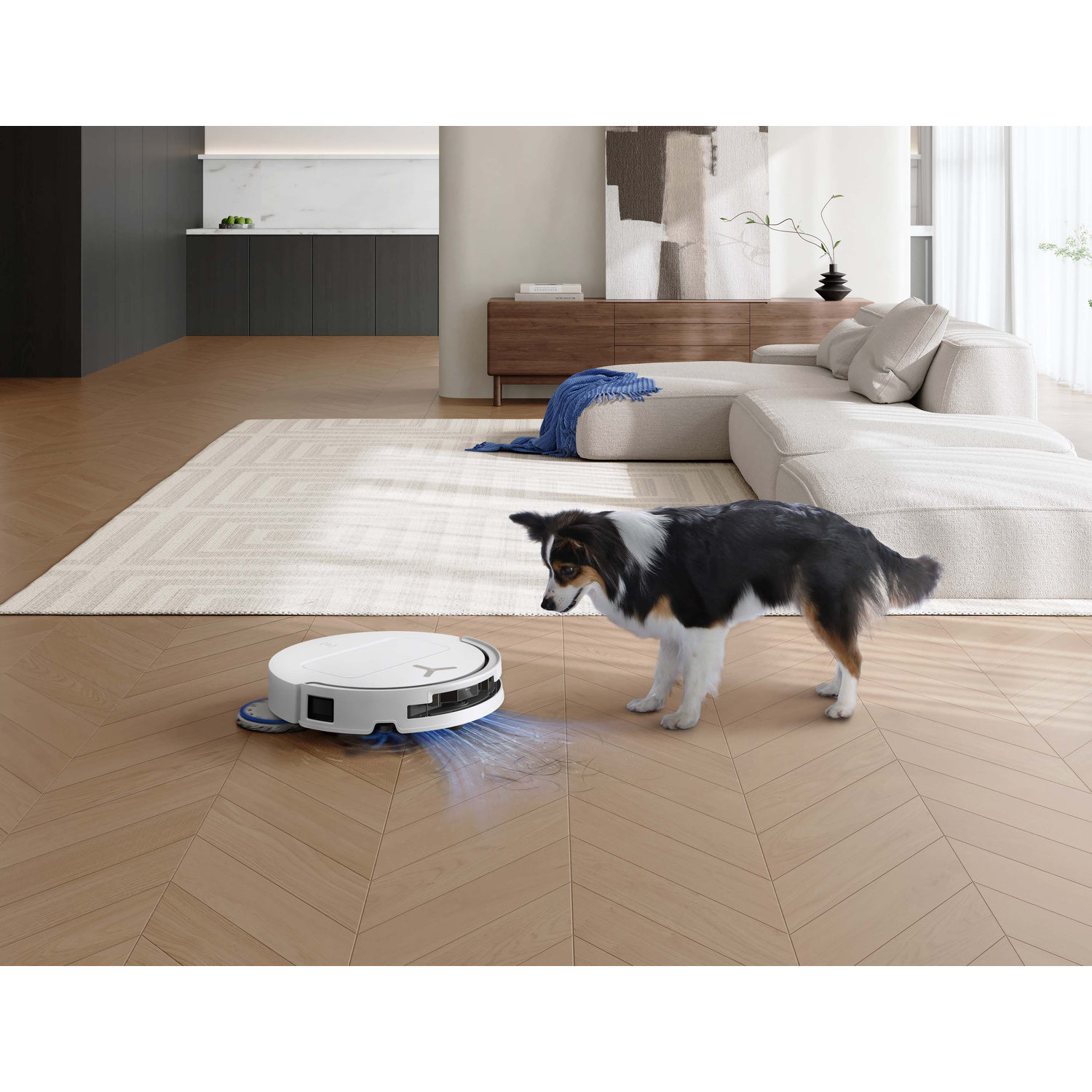 Un robot aspirapolvere pulisce il pavimento mentre un cane guarda.