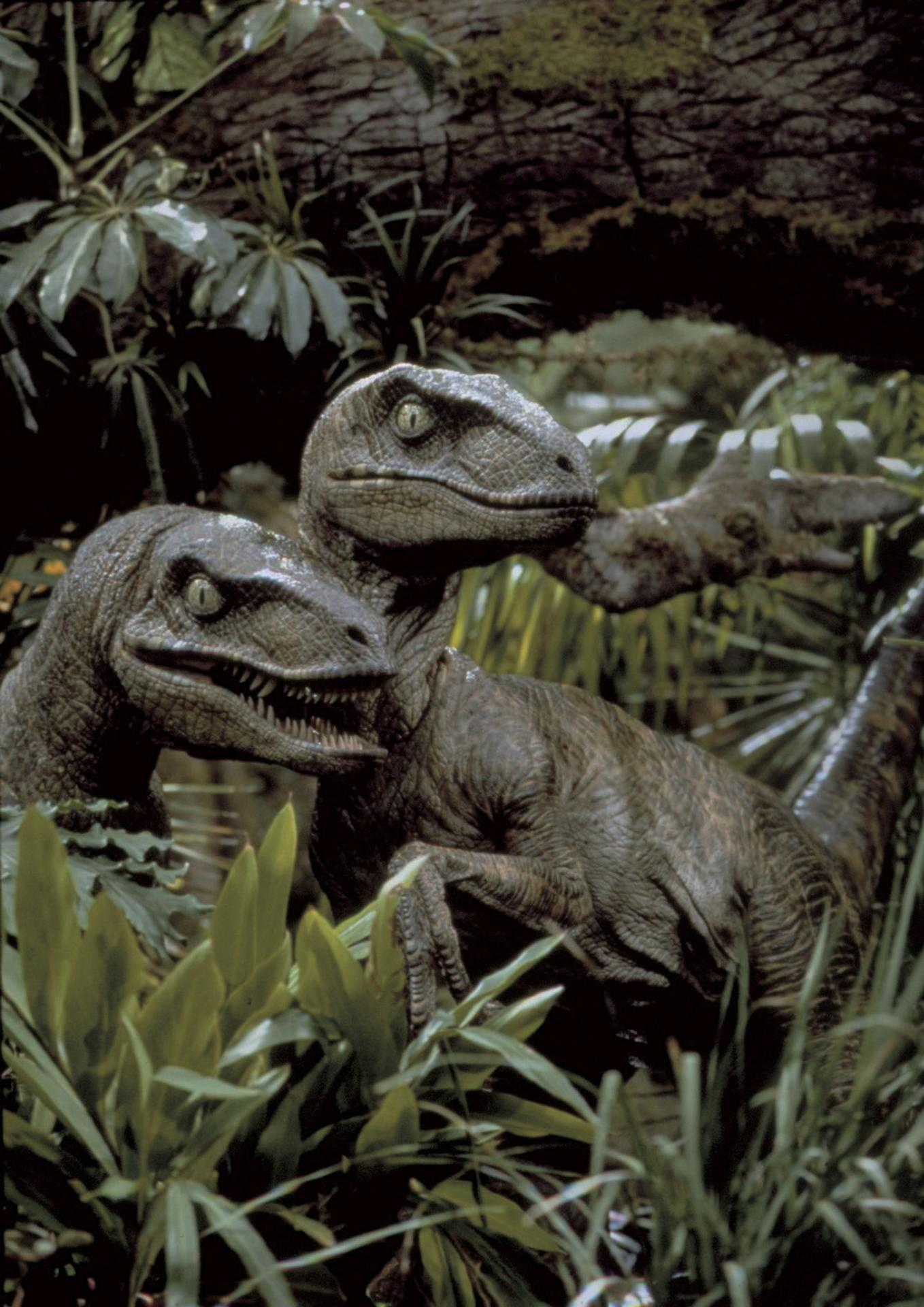 Zwei Velociraptoren im dichten Dschungel, umgeben von grüner Vegetation.