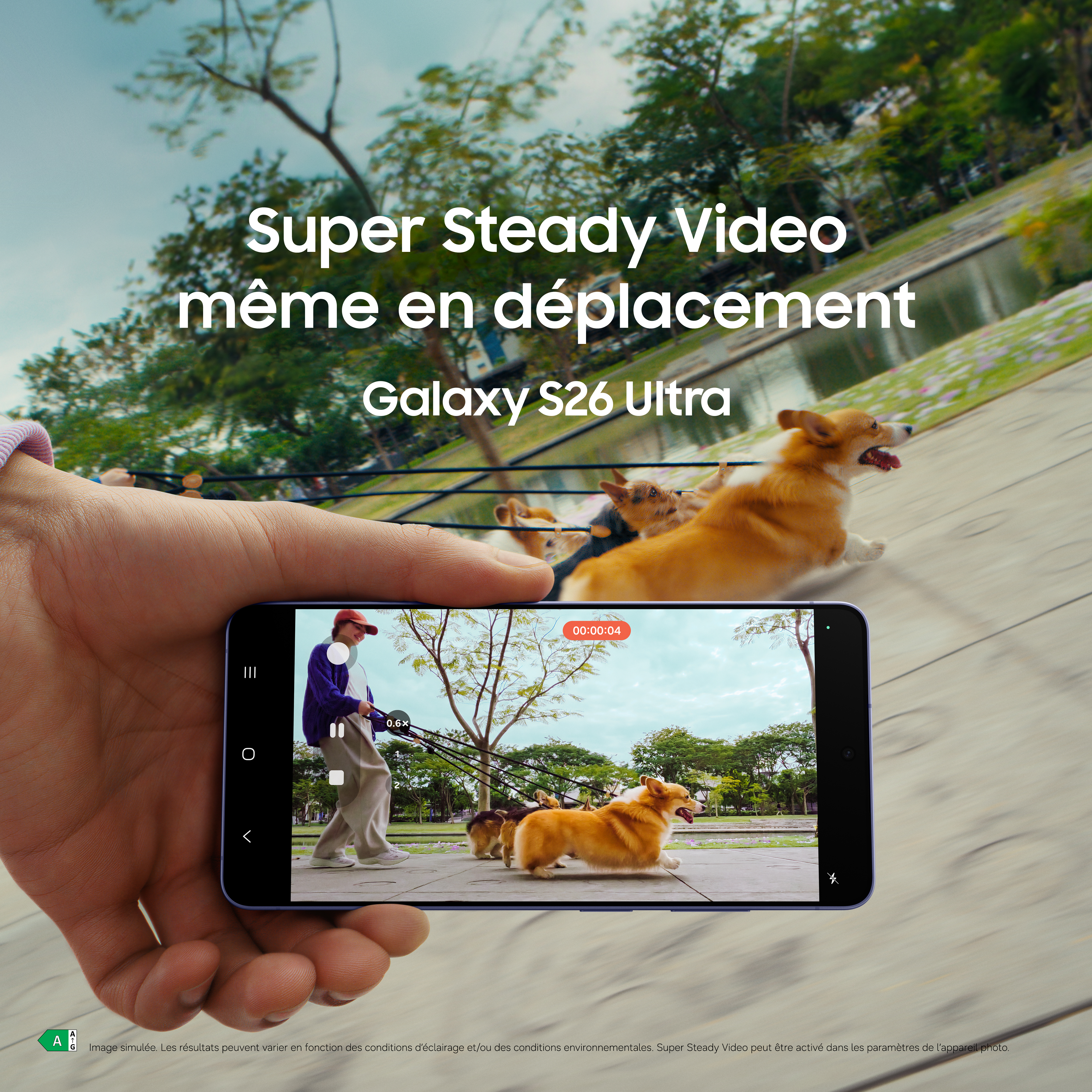 Un téléphone filme trois chiens en promenade. Texte : Super Steady Video.
