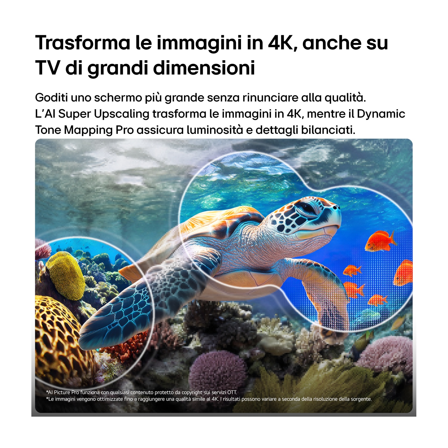 Una tartaruga marina nuota sott'acqua tra coralli e pesciolini.
