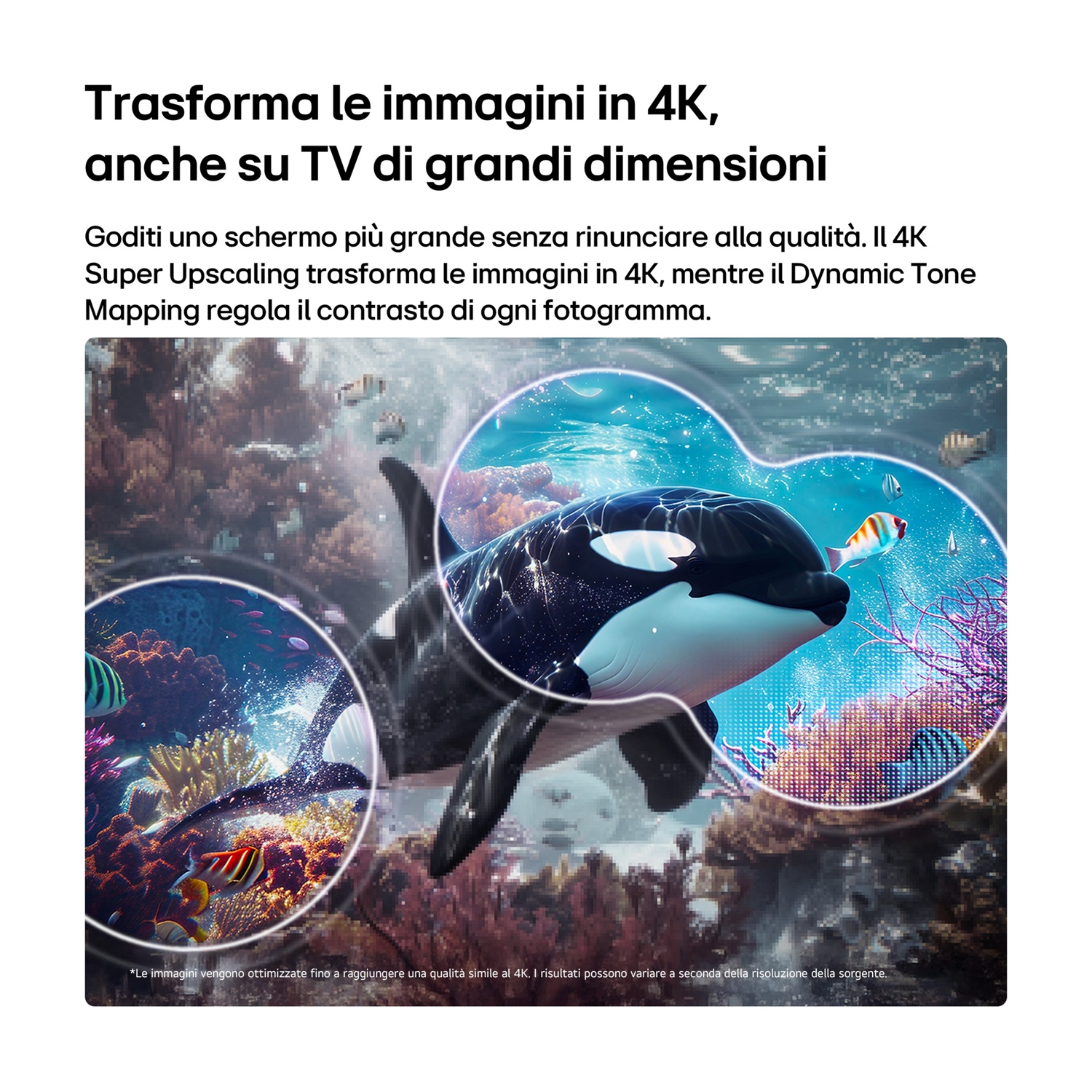 Un'orca nuota in una barriera corallina con pesci. Lo schermo mostra pubblicità per upscaling 4K.