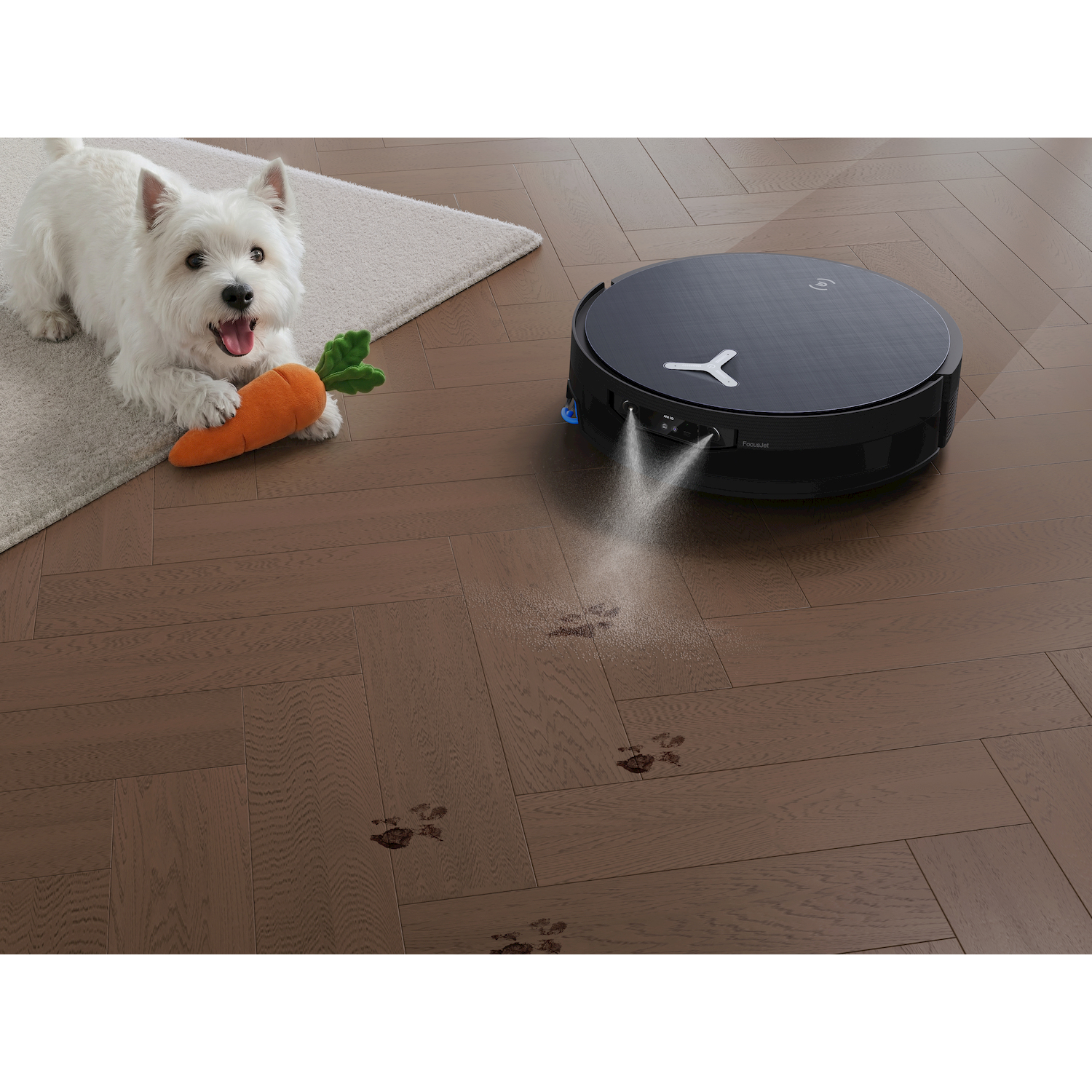 Un cane bianco giace su un tappeto tenendo un giocattolo a carota. Un robot aspirapolvere spruzza acqua sul pavimento in legno.