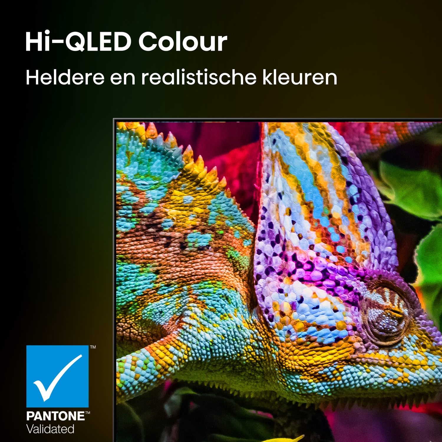 A vibrant chameleon with blue, purple, and yellow scales on a dark background.