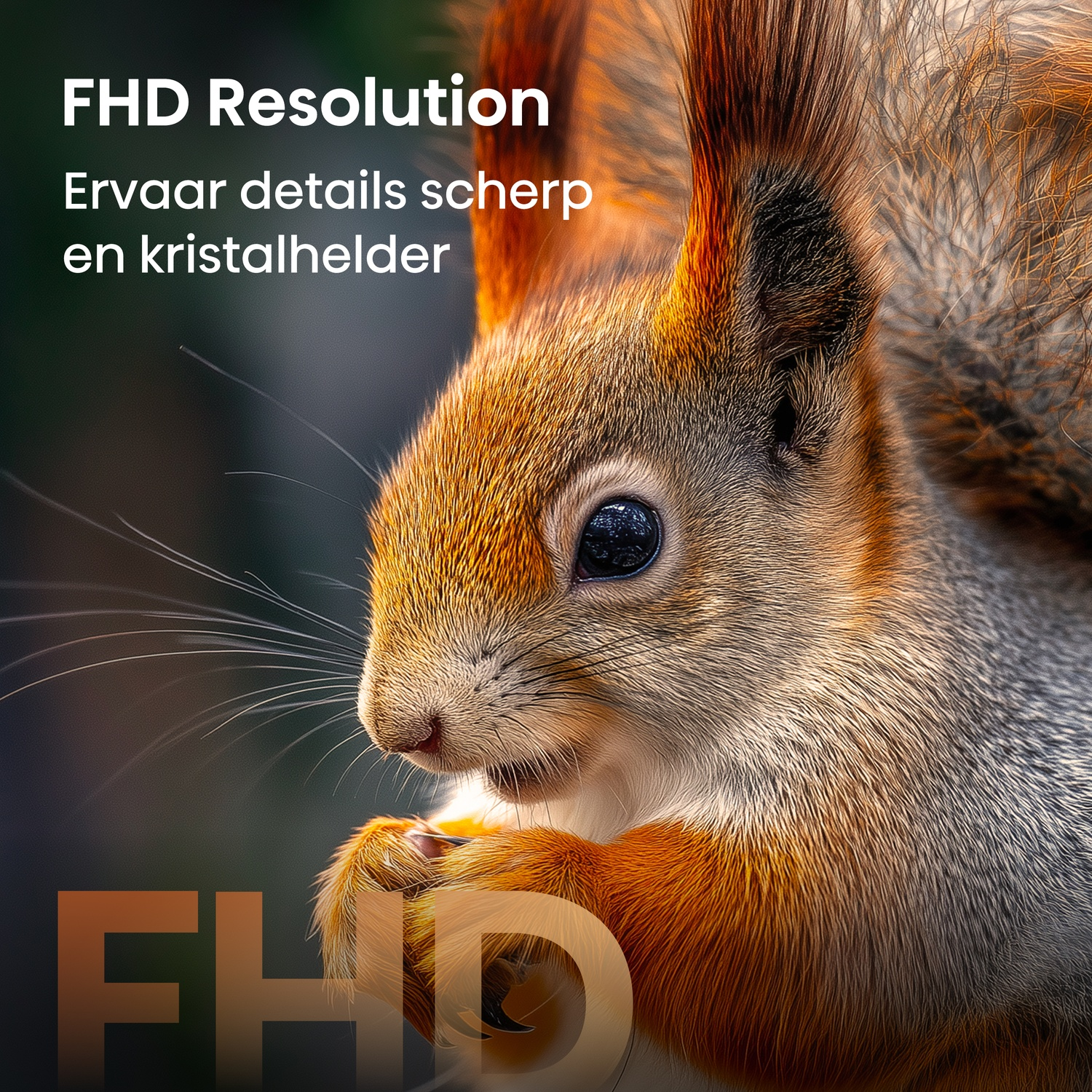 Close-up of a squirrel with FHD resolution text.