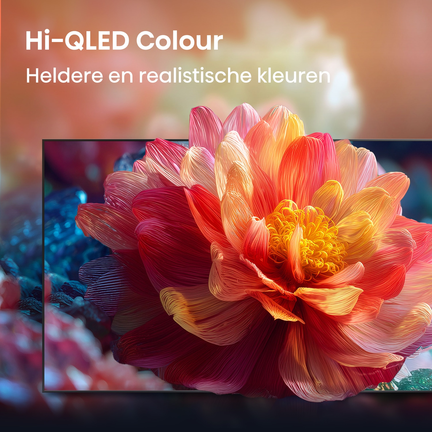 A large, vibrant abstract peony or dahlia flower head with red, orange, and yellow petals.