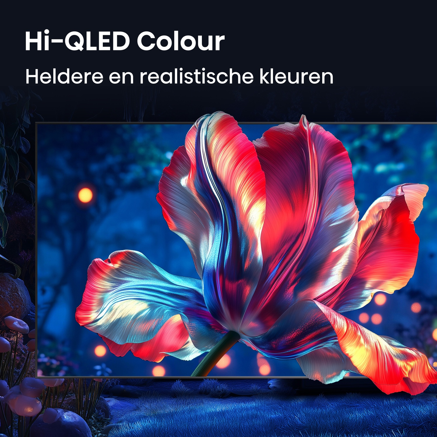 A large, colorful flower head against a dark, blurred background with lights.