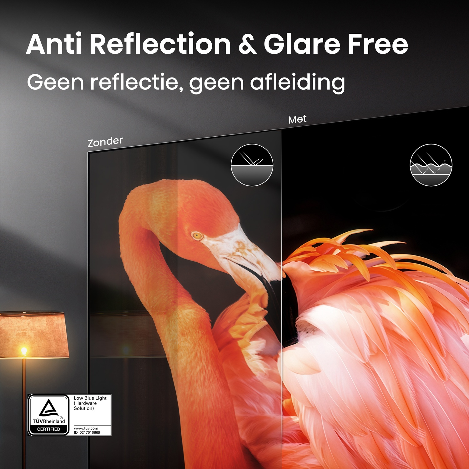 Screen comparison: Flamingo on the left (without) and right (with) anti-reflection.