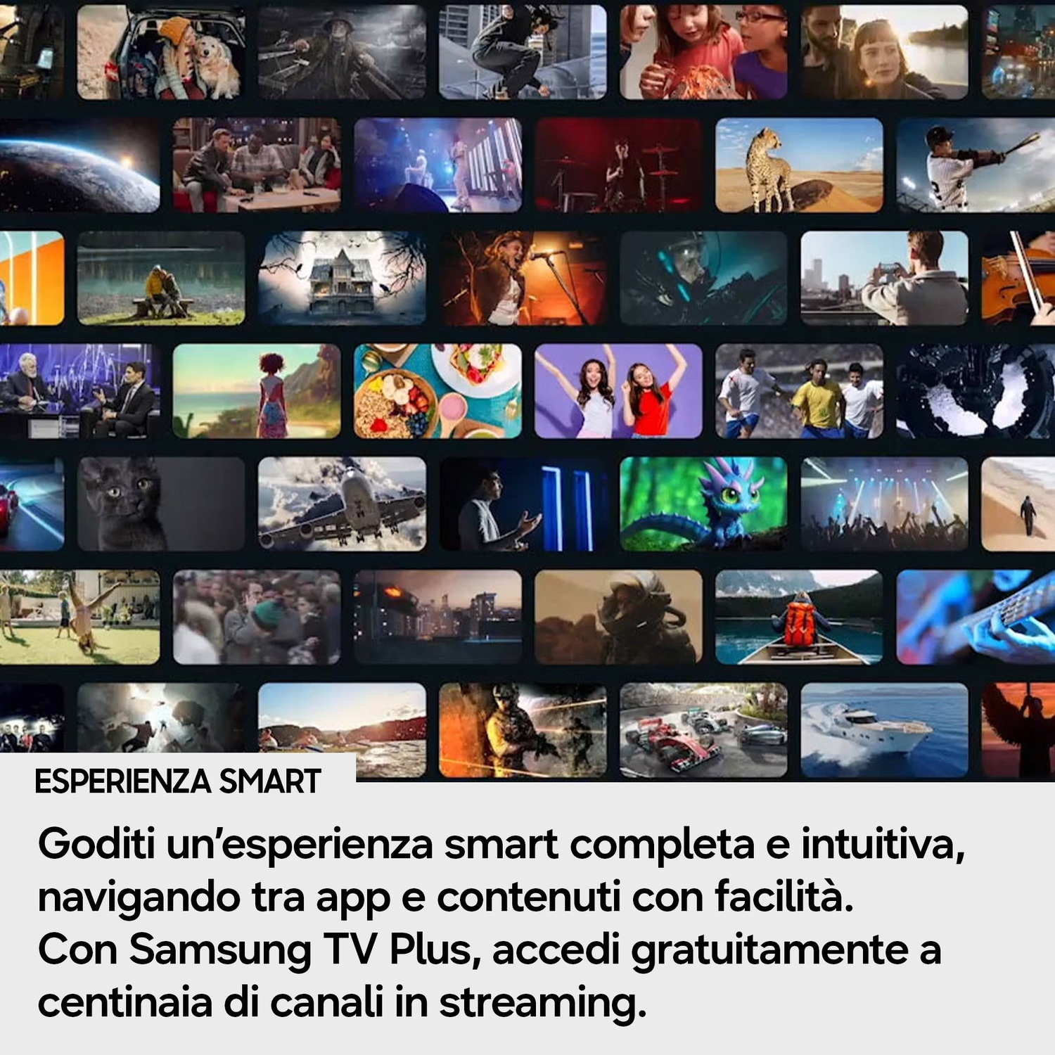 Collage di varie scene: natura, sport, concerti, film, cibo e altro.