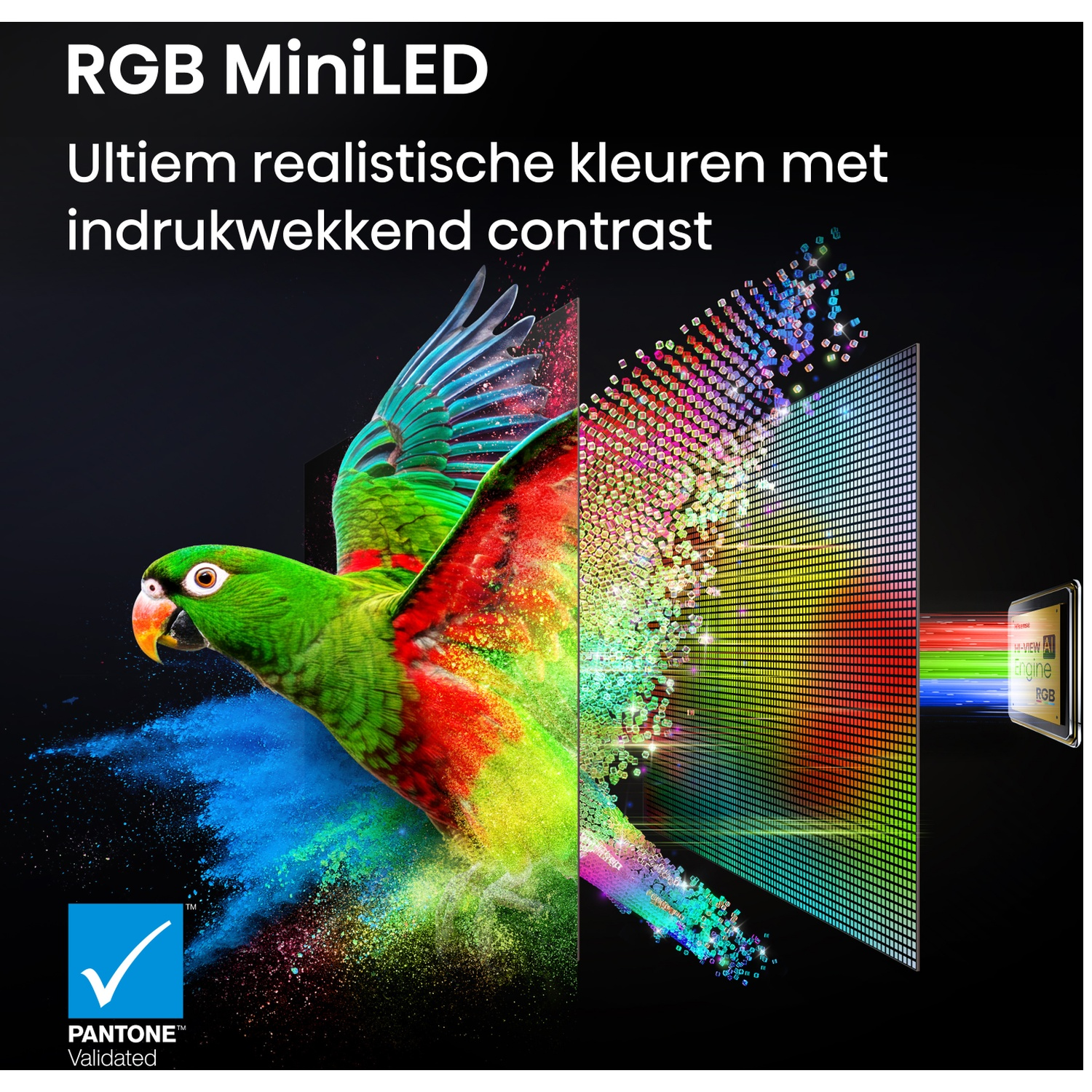 Groene papegaai met kleurrijk poeder dat explodeert voor een RGB MiniLED-scherm.