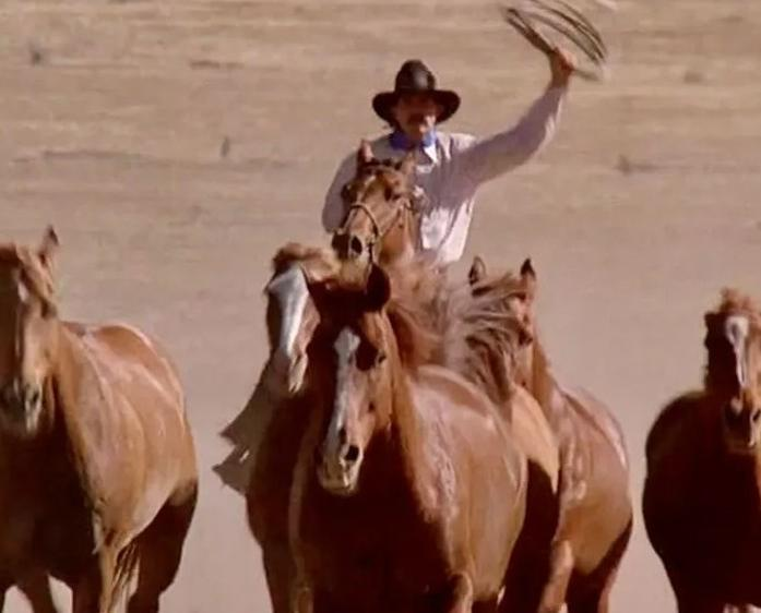 Ein Cowboy auf einem Pferd wirft ein Lasso in der trockenen Landschaft.