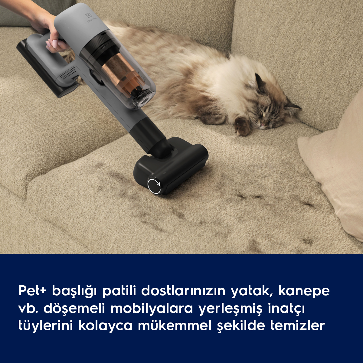 Gri el süpürgesi, uyuyan bir kediyle kanepede kullanılıyor.
