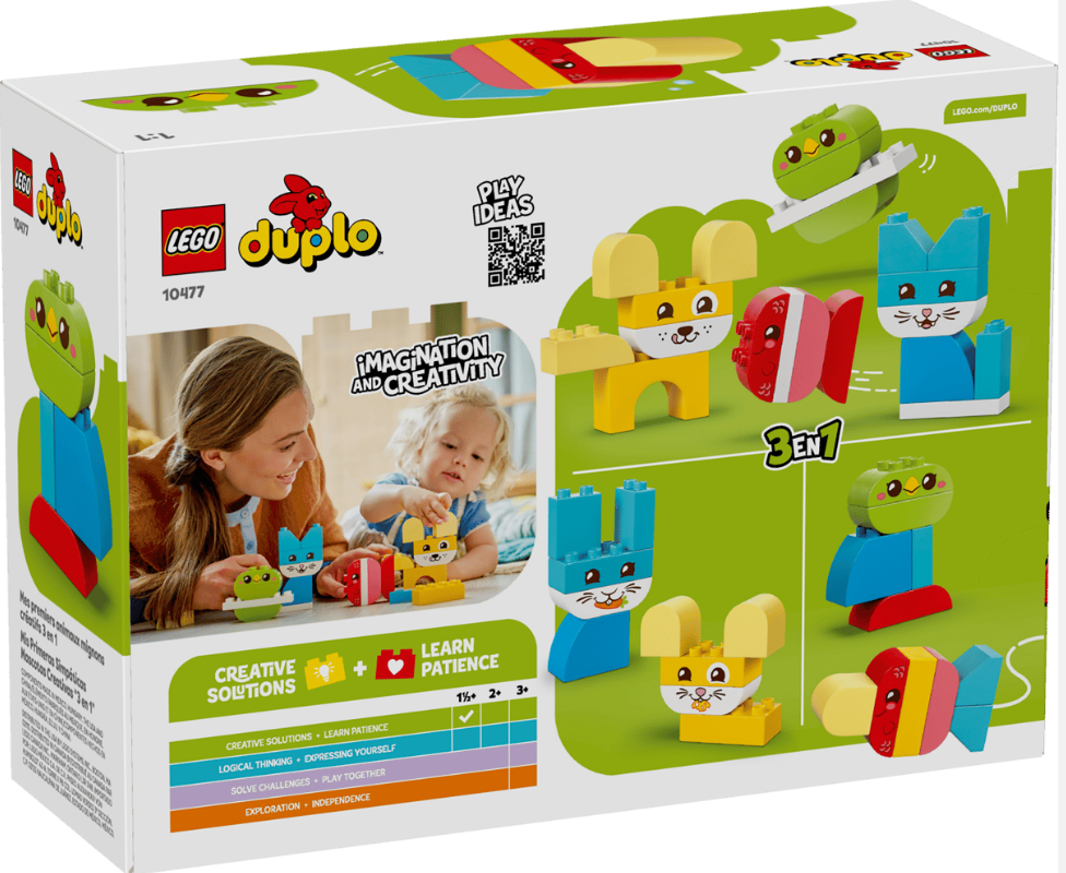 Verpackung für LEGO Duplo Set 10477 mit Frau und Kind, die mit bunten Bausteinen spielen.