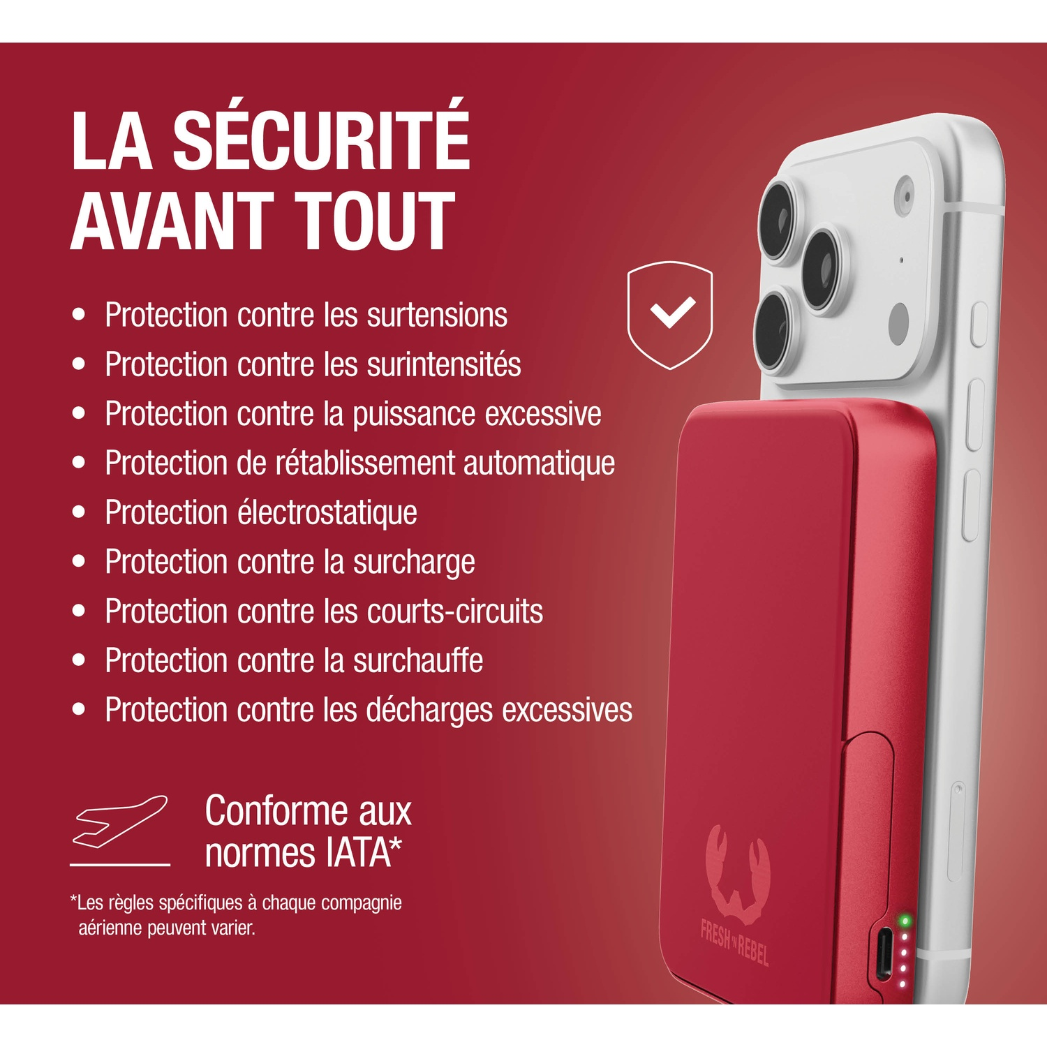 La sécurité avant tout : liste des protections et conformité IATA pour un étui de charge.