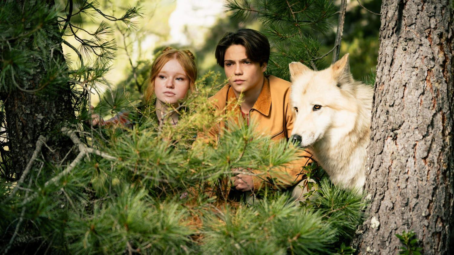 Ein weißer Wolf und zwei Kinder blicken durch Bäume im Wald.