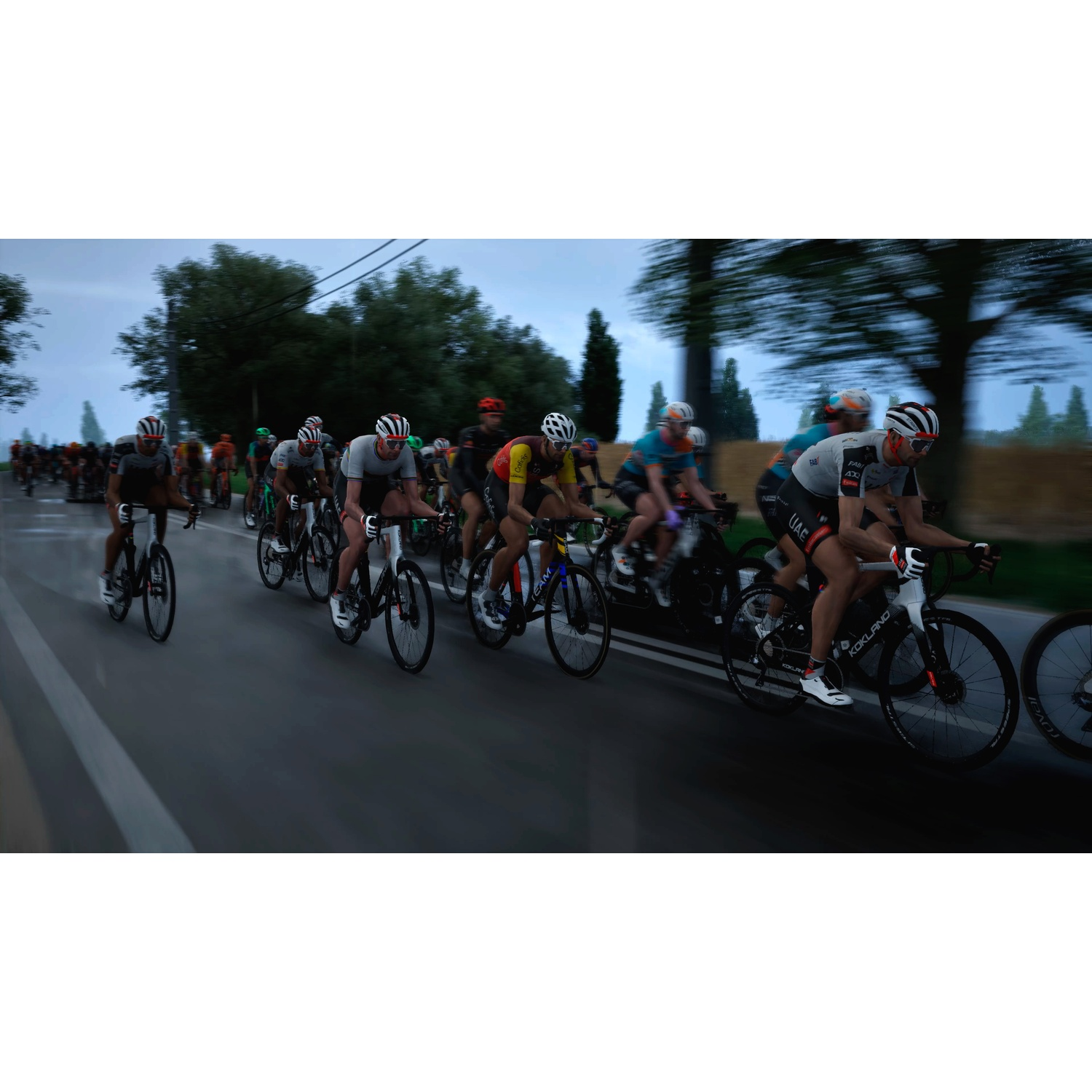 Cyclists race on a road lined with trees under a cloudy sky.