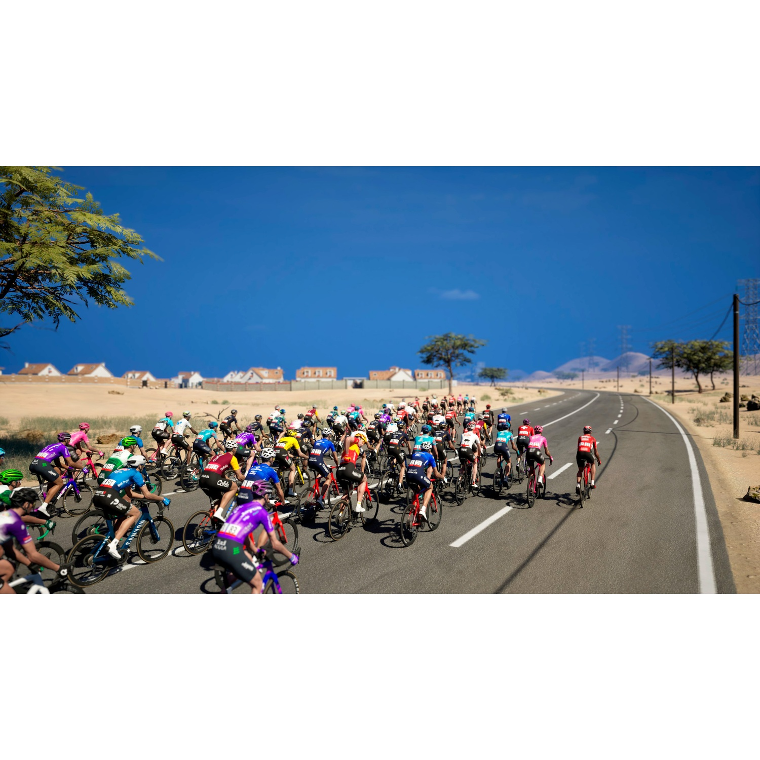 A peloton of cyclists races on a road with houses and trees in the background.