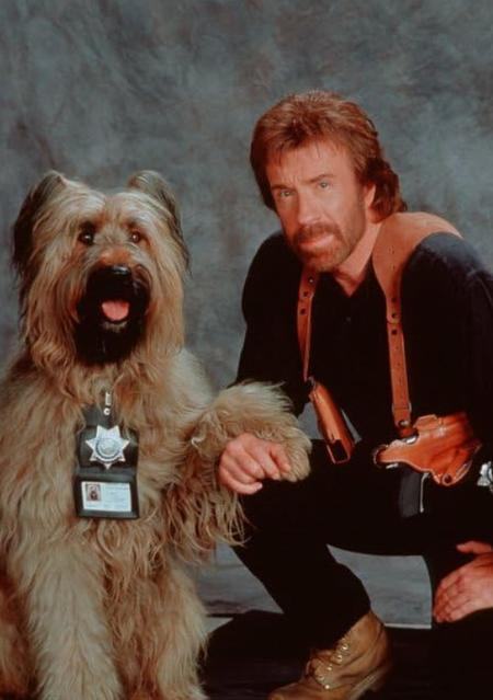 Ein Mann mit roten Haaren und ein Hund mit einem Ausweis tragen Polizeititel.