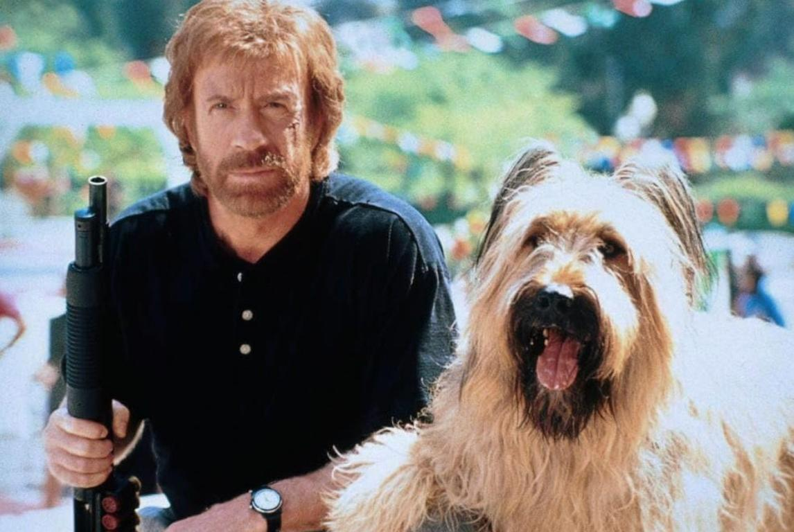 Mann mit Hund und Gewehr, im Freien, bunte Dekorationen im Hintergrund.
