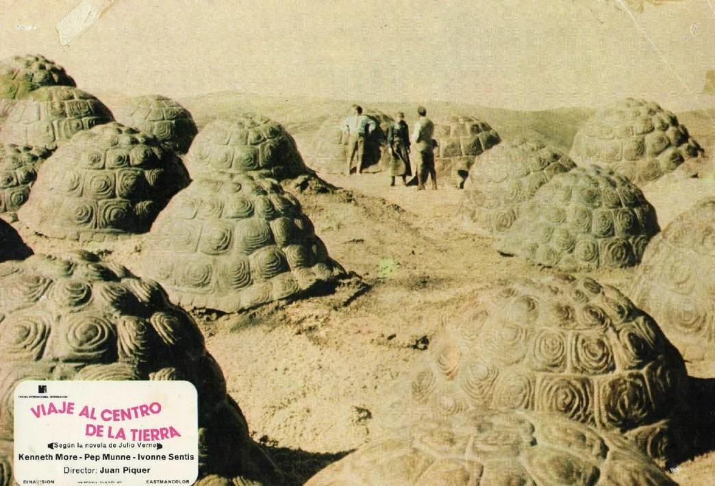 Menschen stehen zwischen riesigen Schildkrötenpanzern in einer sandigen Landschaft.
