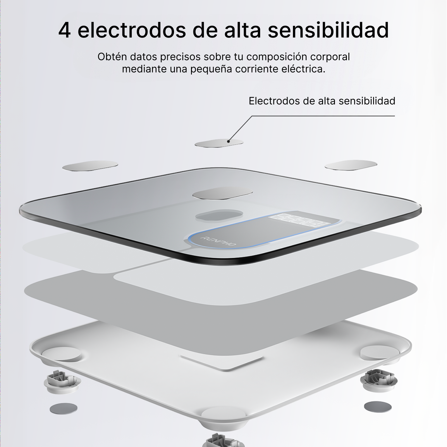 Vista explosionada de una báscula con 4 sensores para composición corporal.