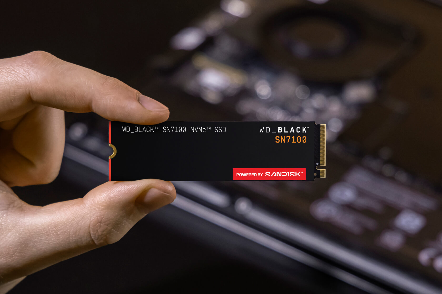 Hand hält schwarze SSD mit WD_BLACK SN7100 Aufschrift.