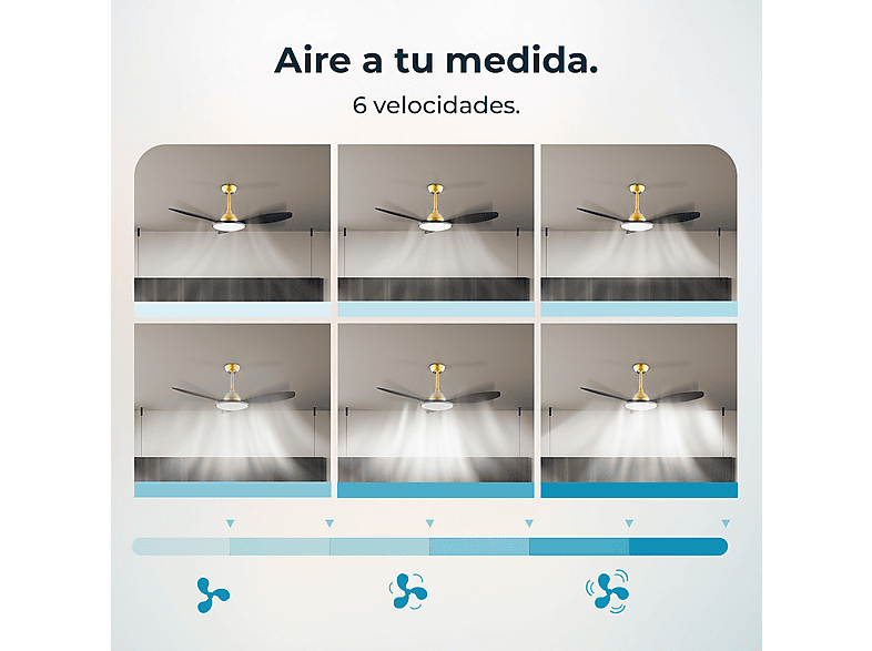 Vista 3